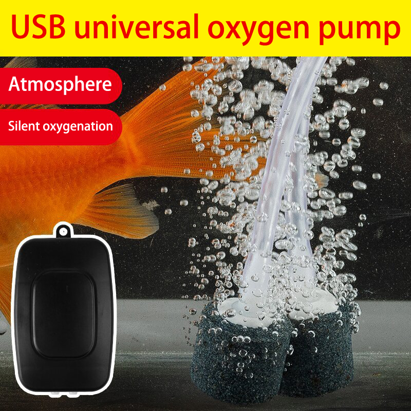 Marine Aquarium Equipment - طقم مضخة هواء حوض السمك الصغير