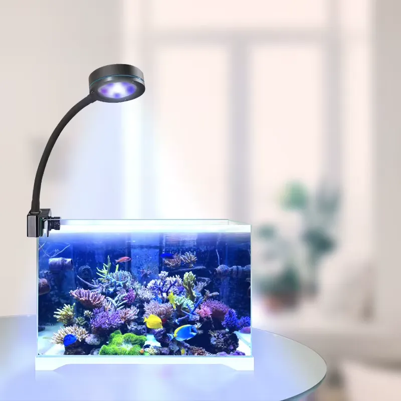 إضاءة LED أكواسانرايز كاملة ال - مراجعة Aquarium Blue Marine Reef وسعره