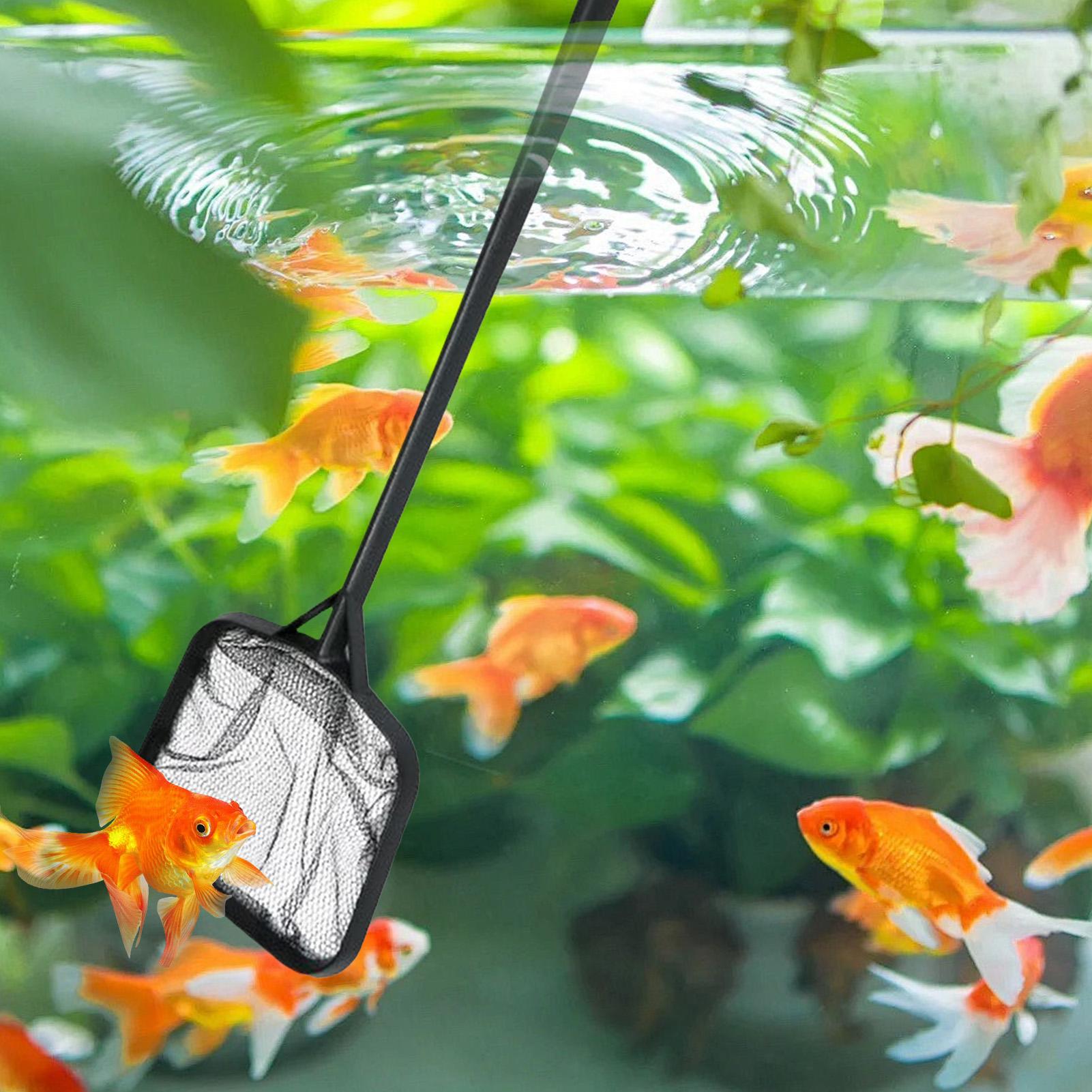 شبكات تنظيف حمامات السباحة، شب - مراجعة Marine Aquarium Equipment وسعره