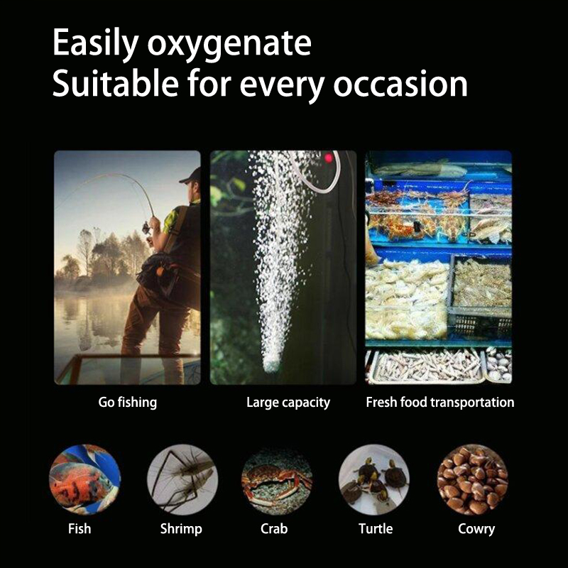 طقم مضخة هواء حوض السمك الصغير - مراجعة Marine Aquarium Equipment وسعره
