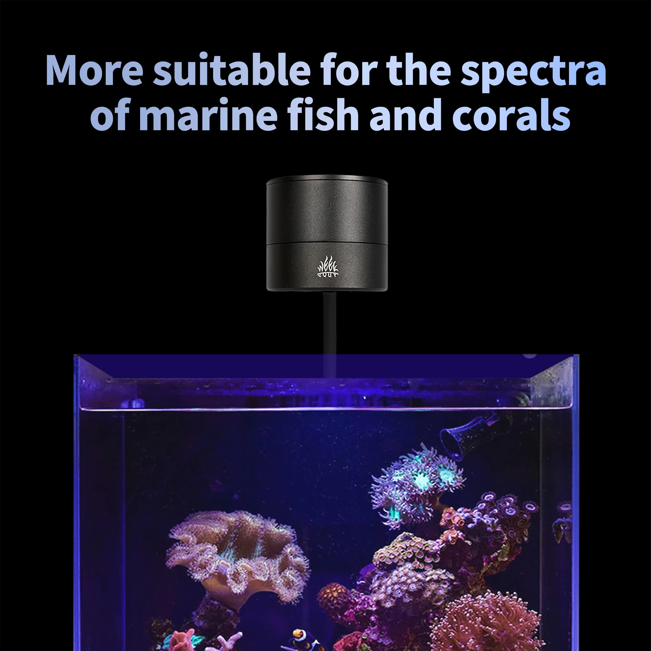 مصباح حوض السمك WEEK AQUA، إضا - مراجعة Aquarium Blue Marine Reef وسعره