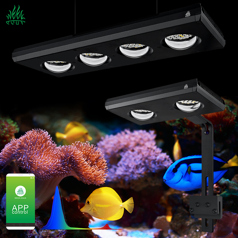 ZXY رائجة البيع WEEKAQUA Z250  - مراجعة Aquarium Blue Marine Reef وسعره