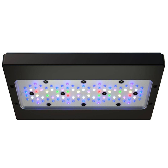 إضاءة LED A8 PRO III Max و Blu - مراجعة Aquarium Blue Marine Reef وسعره